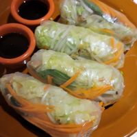 freshy rolls at Thai Vegan - temporarily closed in Albuquerque