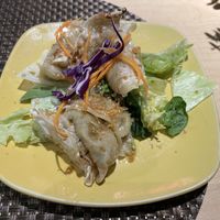 Veggie dumplings 🥟   at Thai Vegan in Albuquerque