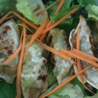 Veggie Dumplings at Thai Vegan - temporarily closed in Albuquerque