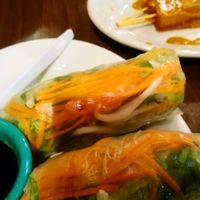 Fresh spring rolls and chicken satay at Thai Vegan - temporarily closed in Albuquerque