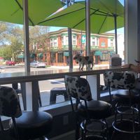   at Funky Cow Cafe in Hammonton