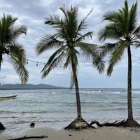 Stunning view ♥️ at Grow in Puerto Viejo De Talamanca