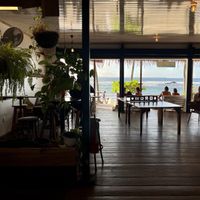 vibe  at Grow in Puerto Viejo De Talamanca