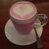 Pink Panther at Grow in Puerto Viejo De Talamanca