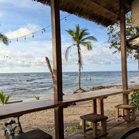  at Grow in Puerto Viejo De Talamanca