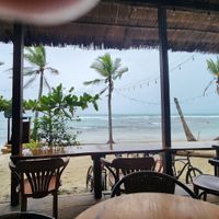  at Grow in Puerto Viejo De Talamanca