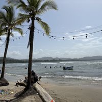   at Grow in Puerto Viejo De Talamanca