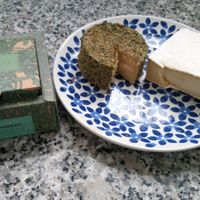 Camembert at Herbivore Plant Based & Fermented Food in Reus