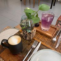  at Herbivore Plant Based & Fermented Food in Reus