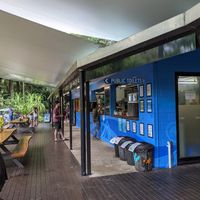 Cafe at Turtle Rock Cafe in Cape Tribulation