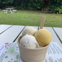 Vegan  at Daintree Ice Cream Company in Diwan