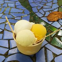  at Daintree Ice Cream Company in Diwan