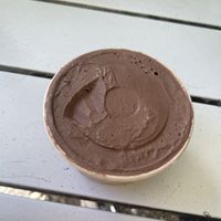 Chocolate coconut sorbet   at Daintree Ice Cream Company in Diwan