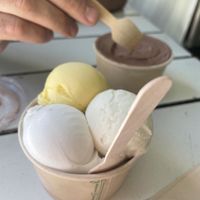 Vegan signature bowl   at Daintree Ice Cream Company in Diwan