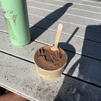 Chocolate coconut ice cream   at Daintree Ice Cream Company in Diwan