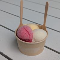  at Daintree Ice Cream Company in Diwan