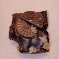  at Scoff's in Horsforth