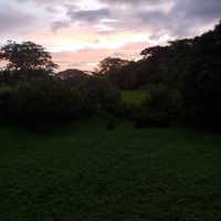 View during sunset at Ballena Bistro in Uvita