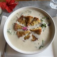 Quinoa bowl with falafel   at Ballena Bistro in Uvita