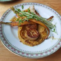 Coquille at WIT-LOF in Den Burg