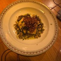 Courgette  at WIT-LOF in Den Burg