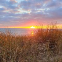  at BomBaai Strandbar in Westkapelle