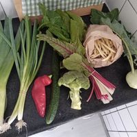  at Bio-tuinderij De Kromme Lepel in Bergen Op Zoom