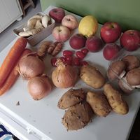  at Bio-tuinderij De Kromme Lepel in Bergen Op Zoom