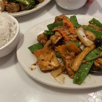 Home style fried tofu at Chinatown Garden in Washington
