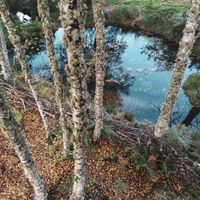 Lake at Hortalegre in Montalegre