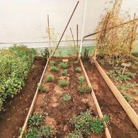 More greenhouses at Hortalegre in Montalegre