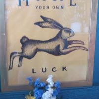  at Curiosi-Tea House in Winona