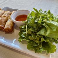 Spring Rolls  at Thai Sapa in Springdale