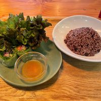 Spring rolls at Monsoon Cafe モンスーンカフェ さ in Saitama