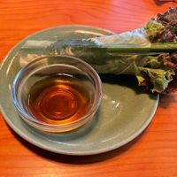 Spring roll at Monsoon Cafe モンスーンカフェ さ in Saitama