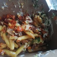 Loaded fries at Sloth and Sparrow in Falmouth