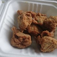 Nuggets at Sloth and Sparrow in Falmouth