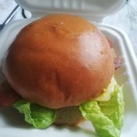 Burger at Sloth and Sparrow in Falmouth