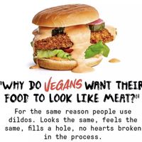   at Sloth and Sparrow in Falmouth