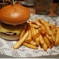  at Sloth and Sparrow in Falmouth