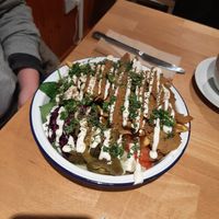  at Sloth and Sparrow in Falmouth