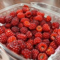 Fresh berries!   at The Beehive Cafe in Berkeley Springs