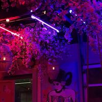 Nice atmosphere  at Lucky Robot in Austin