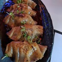 Spinach and tofu dumplings  at Lucky Robot in Austin
