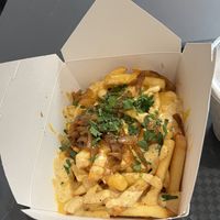 Animal style fries with cheese sauce  at Stand-Up Burgers - Wells in Chicago