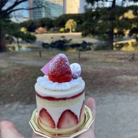   at The Vegan Marshmallooow in Tokyo