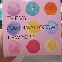 Found in Haneda Airportt  at The Vegan Marshmallooow in Tokyo