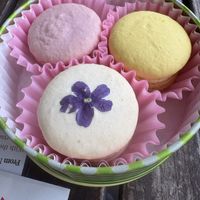   at The Vegan Marshmallooow in Tokyo