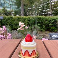  at The Vegan Marshmallooow in Tokyo