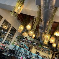 The restaurant is always meticulously clean and has such a lovely atmosphere  at Ka Papa Cuisine in Sarasota